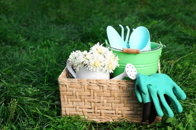 Photo of Basket with watering can, gardening tools and rubber gloves on green grass outdoors