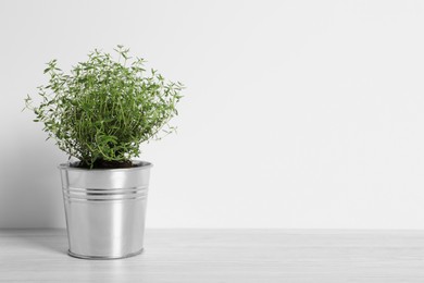 Photo of Aromatic green potted thyme on white wooden table. Space for text