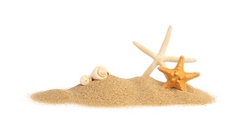 Beautiful sea stars, shells and sand isolated on white