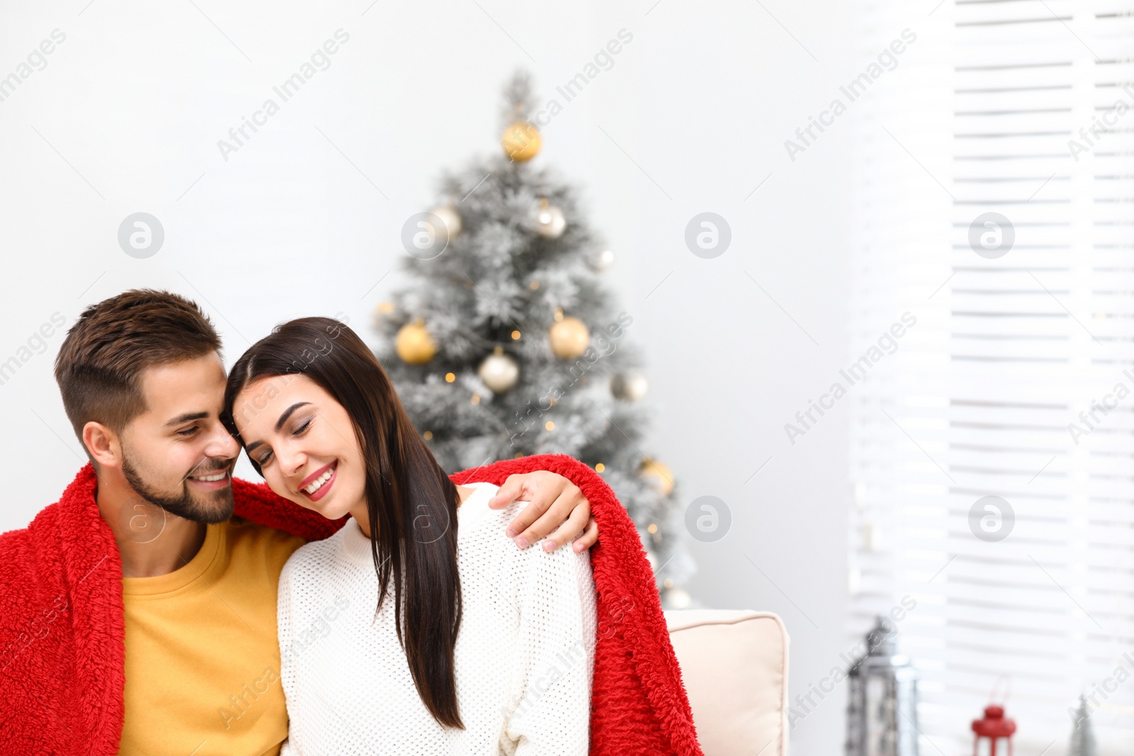 Photo of Happy young couple near Christmas tree at home