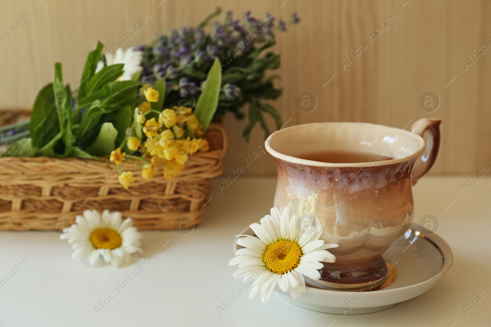 Photo of Tasty herbal tea and fresh chamomile flowers on white table, space for text