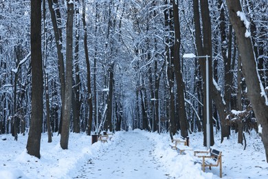 Photo of Wooden benches near pathway in winter park