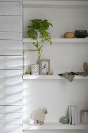 Wooden shelves with different decorative elements and houseplant on white wall