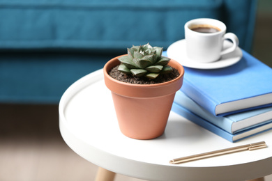 Beautiful succulent and books on white table indoors. Home plant
