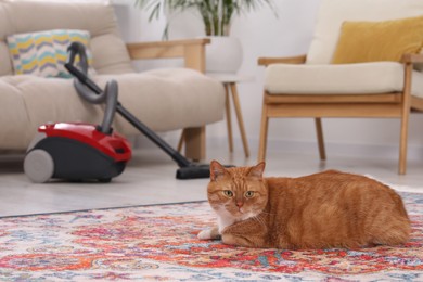 Photo of Cute ginger cat lying on carpet at home, space for text