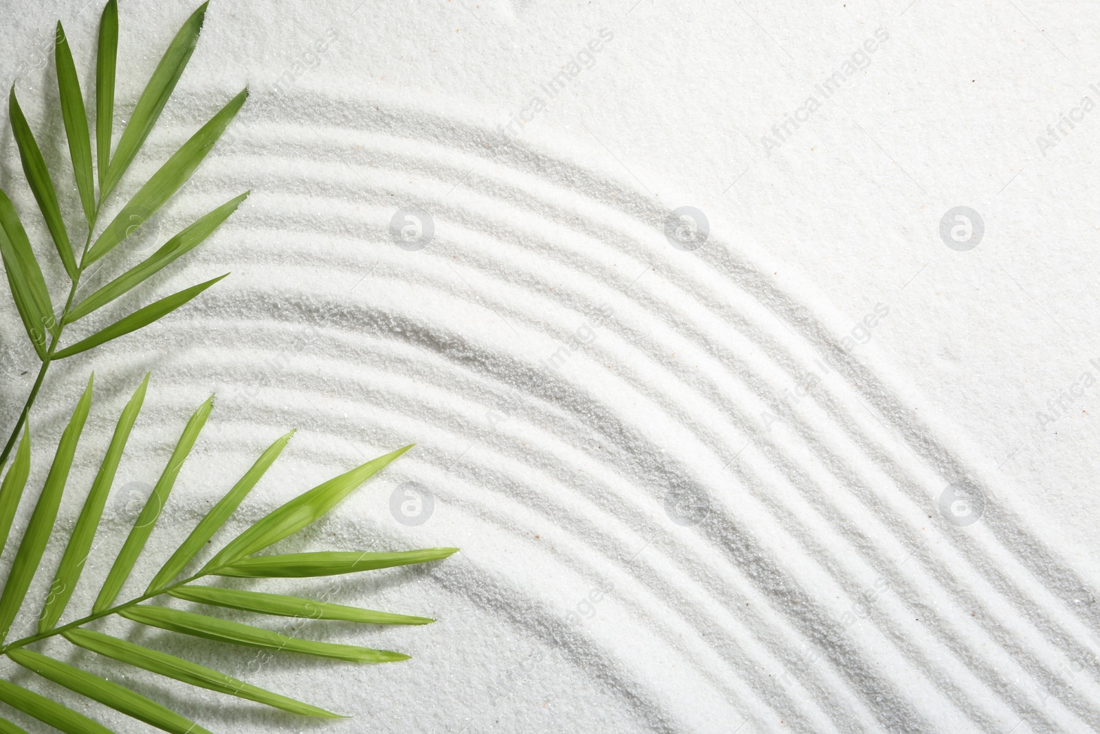 Photo of Zen rock garden. Wave pattern and green leaves on white sand, top view