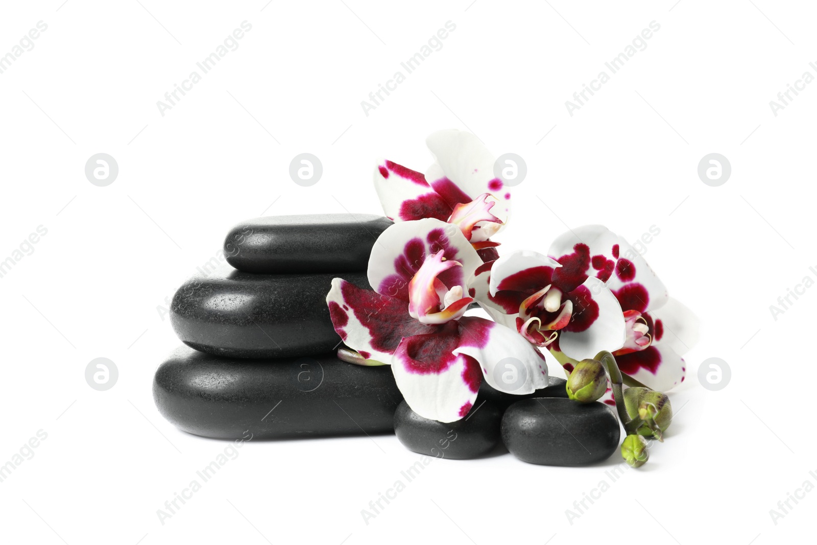 Photo of Spa stones and orchid flowers on white background