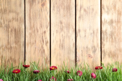 Vibrant green grass with beautiful flowers against wooden background, space for text