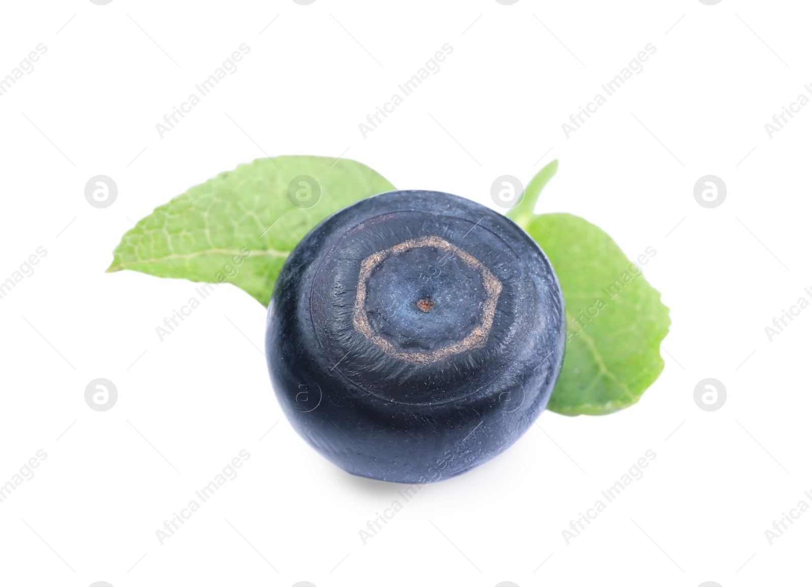 Photo of Tasty ripe bilberry and green leaves isolated on white