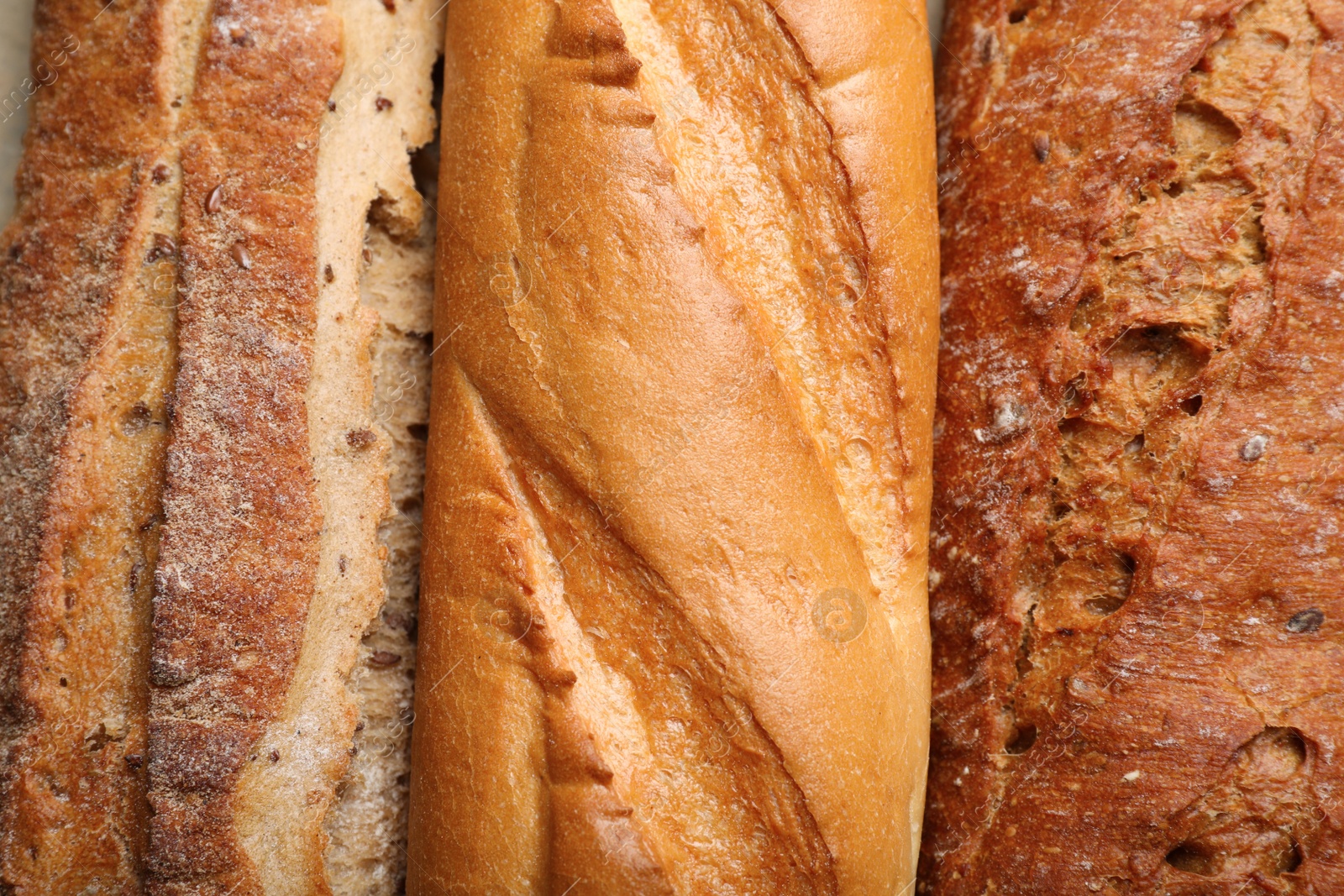 Photo of Different tasty baguettes as background, top view