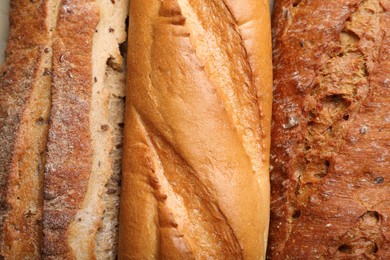 Photo of Different tasty baguettes as background, top view