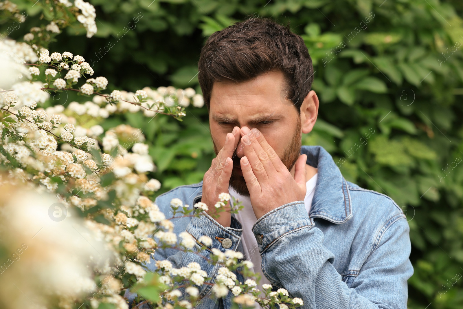 Photo of Man suffering from seasonal pollen allergy near blossoming tree on spring day