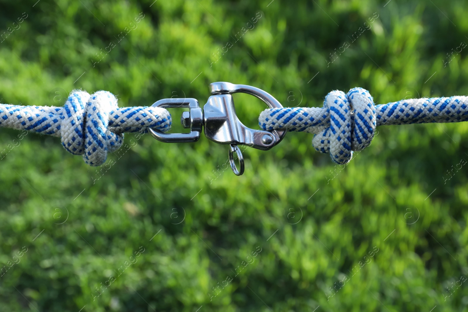 Photo of Climbing ropes with carabiner on blurred green background, closeup
