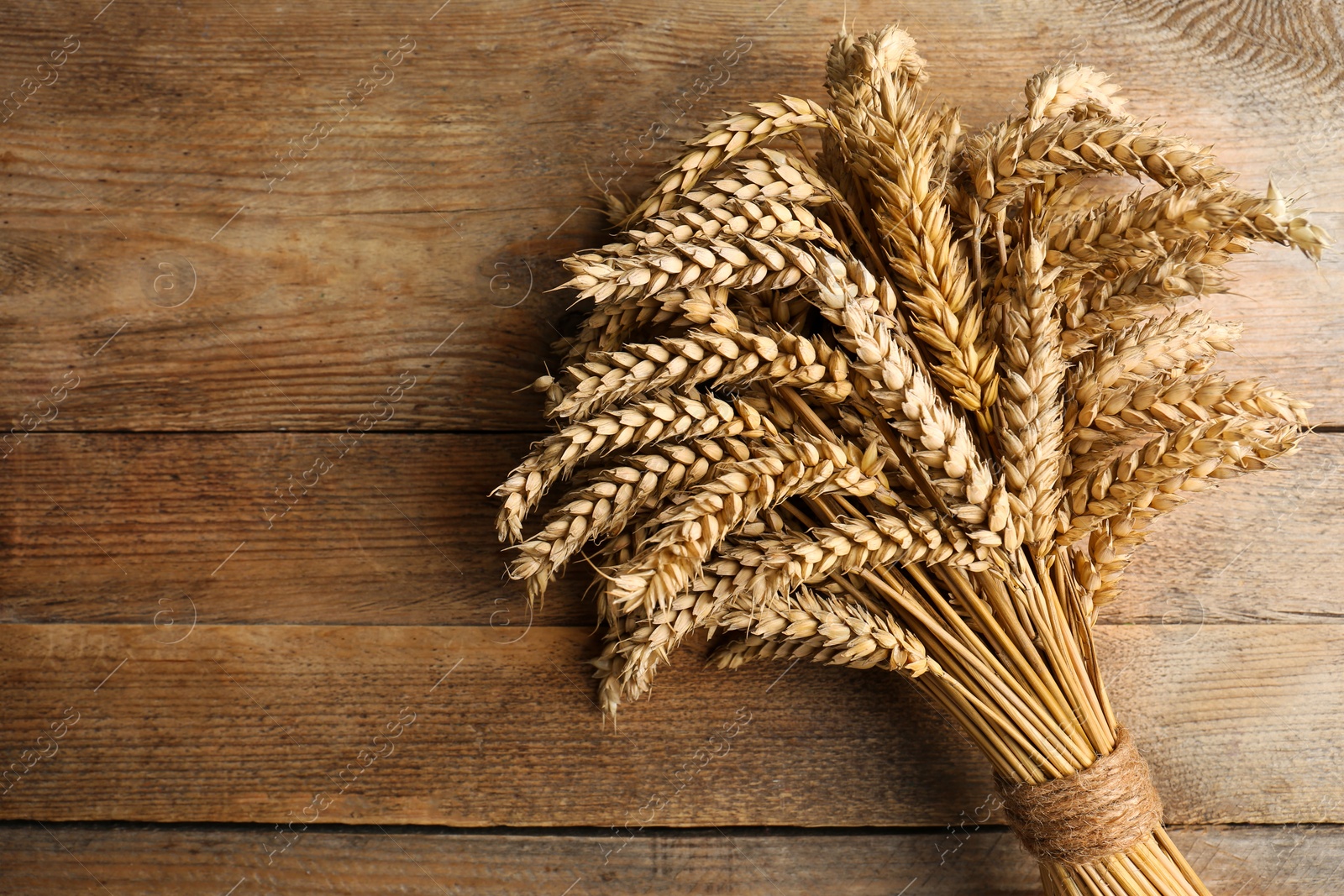 Photo of Bunch of dried wheat on wooden table, top view. Space for text