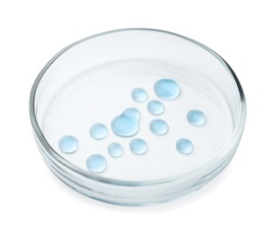 Photo of Petri dish with light blue liquid isolated on white