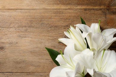 Photo of Beautiful white lily flowers on wooden table, flat lay. Space for text