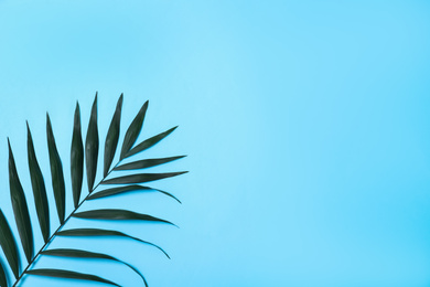 Beautiful lush tropical leaf on light blue background. Space for text