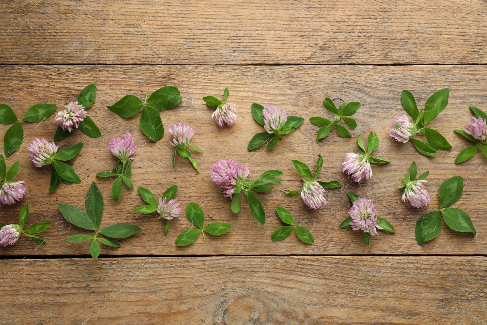 Photo of Beautiful clover flowers with green leaves on wooden background, flat lay