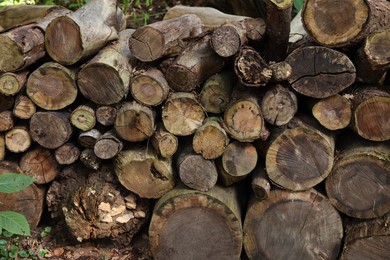 Photo of Pile of different cut wood logs outdoors, closeup