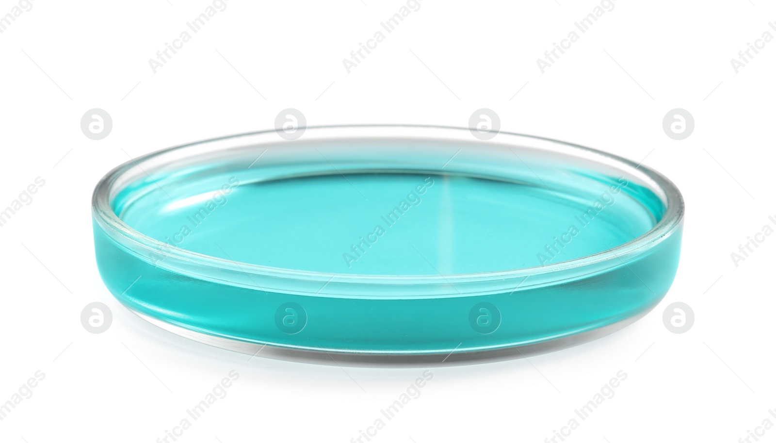 Photo of Petri dish with turquoise liquid isolated on white