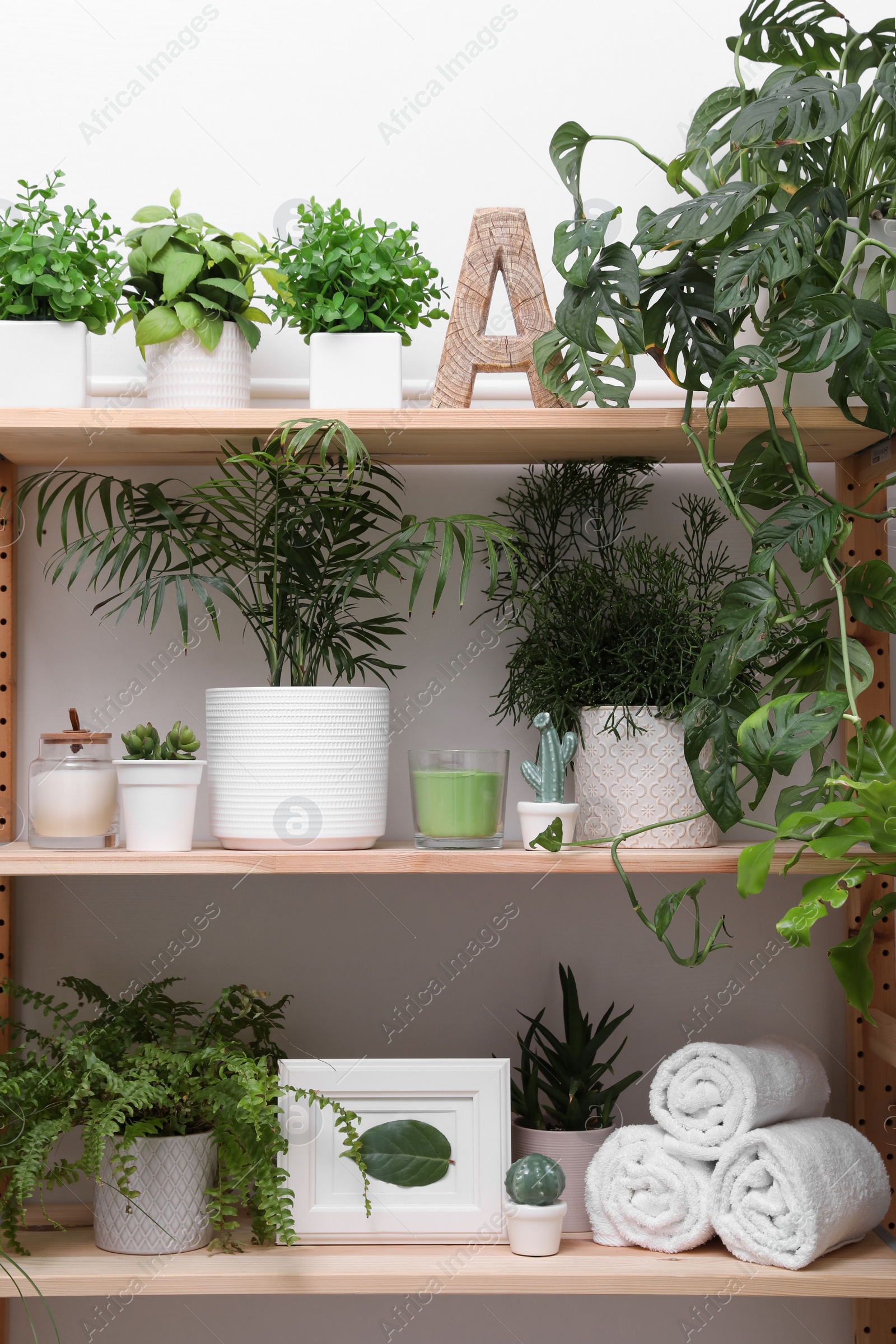 Photo of Wooden shelving unit with green plants and different accessories indoors. Interior design