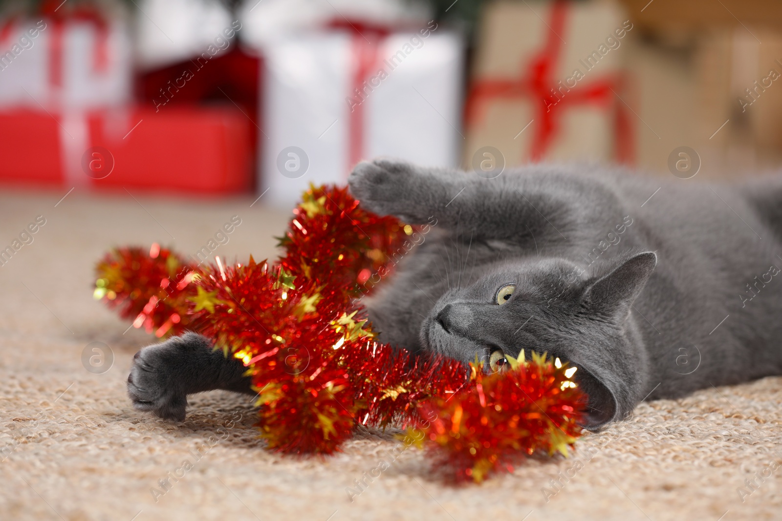 Photo of Cute cat with colorful tinsel at home, closeup