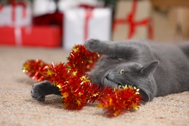 Cute cat with colorful tinsel at home, closeup