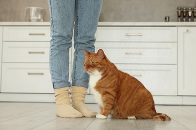 Woman with cute cat in kitchen at home, closeup