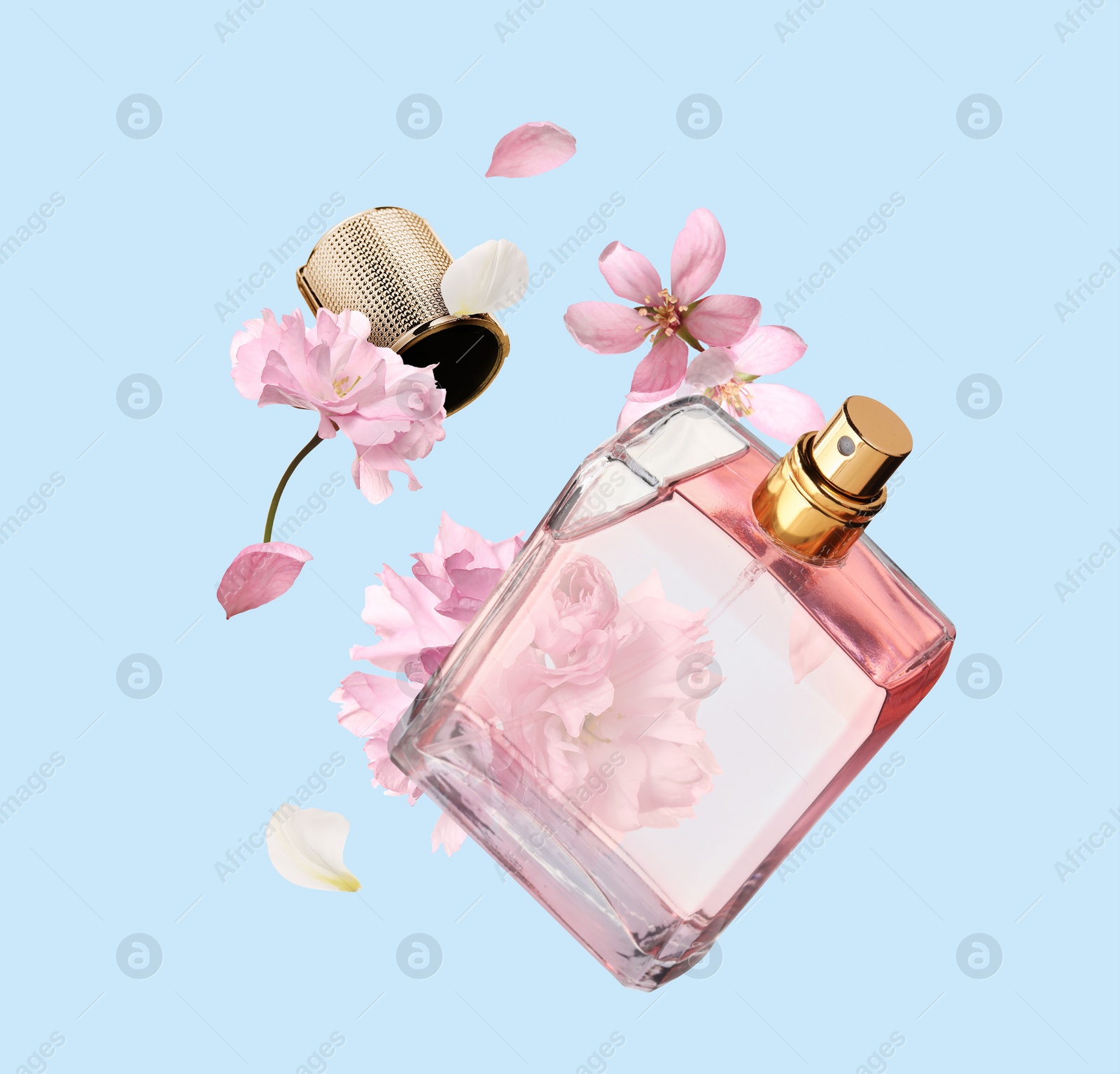 Image of Bottle of perfume and sakura flowers in air on light blue background