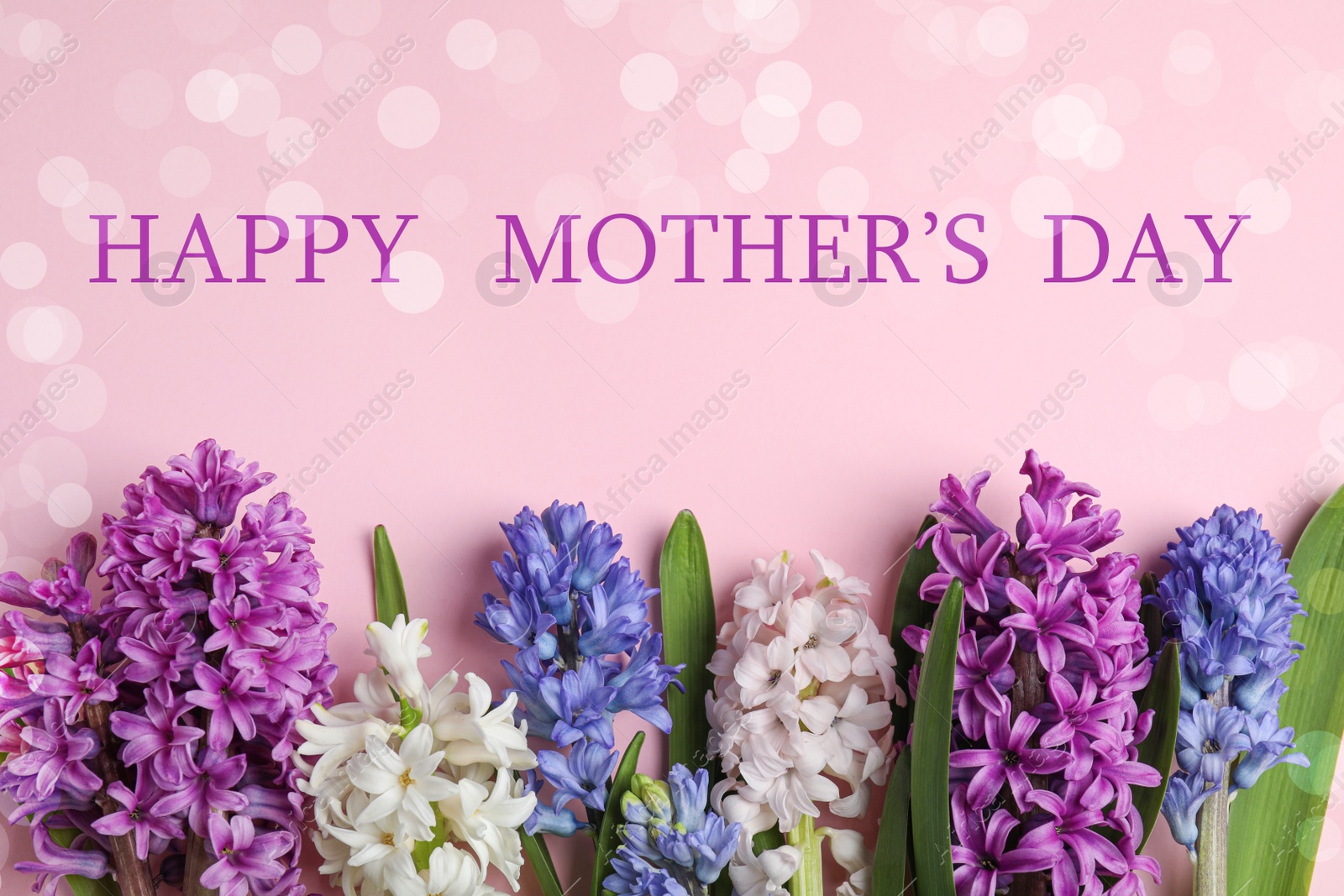 Image of Flat lay composition with beautiful spring flowers and phrase HAPPY MOTHER'S DAY on light pink background