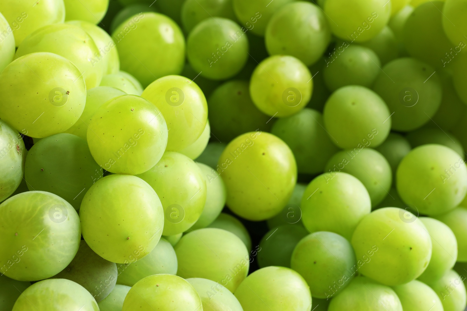 Photo of Bunch of green fresh ripe juicy grapes as background, closeup