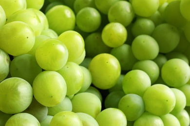 Bunch of green fresh ripe juicy grapes as background, closeup