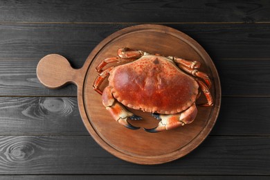 Photo of Delicious boiled crab on black wooden table, top view