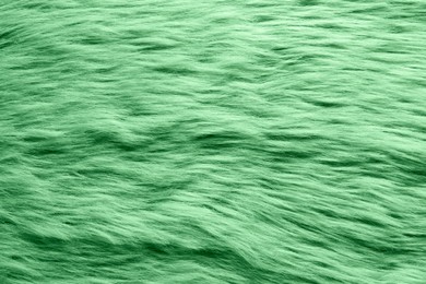 Image of Texture of green faux fur as background, closeup