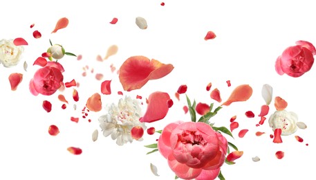 Image of Beautiful flowers and petals flying on white background. Banner design