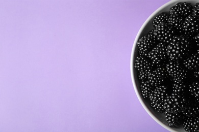 Photo of Bowl of tasty ripe blackberries on purple background, top view with space for text