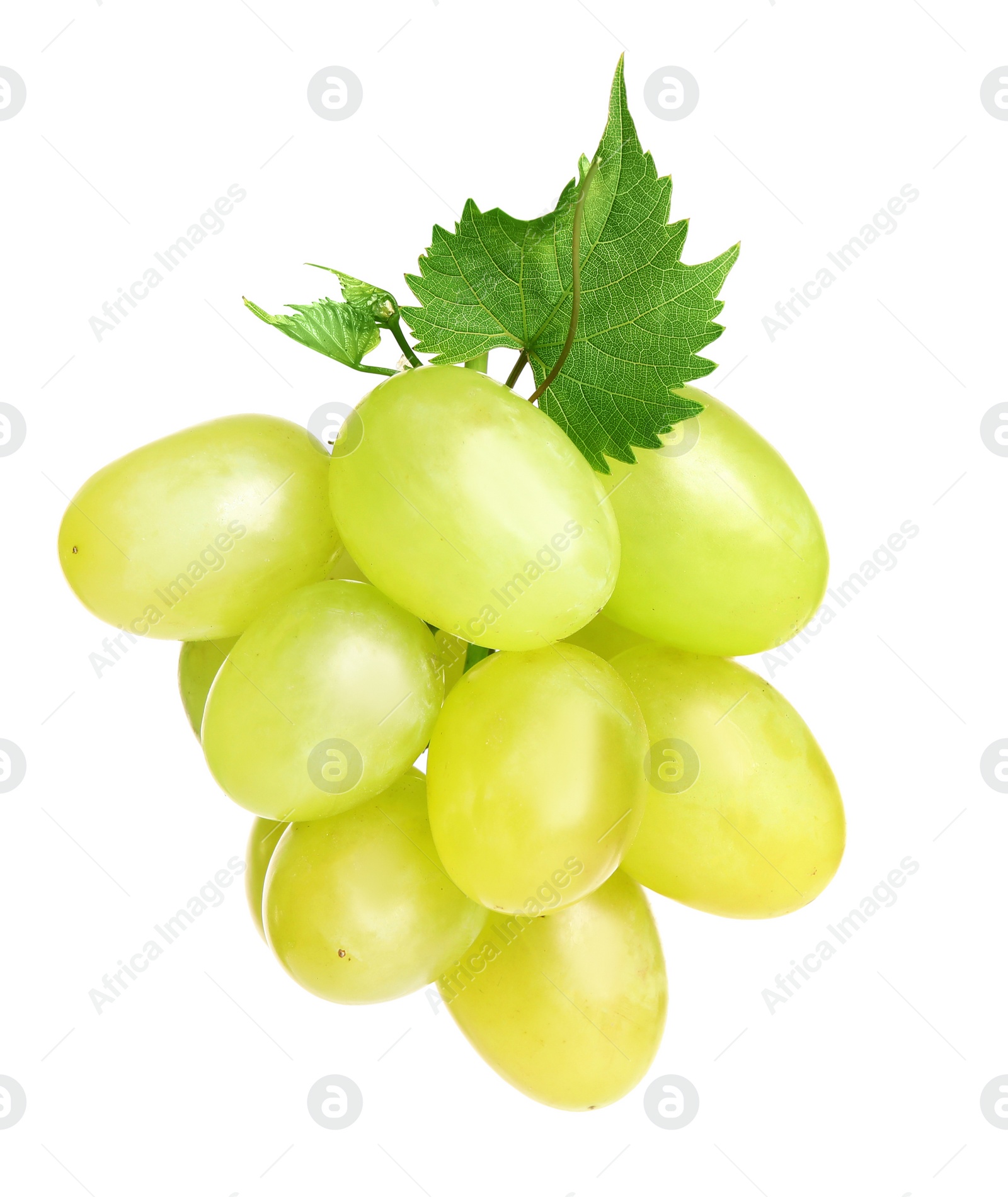 Photo of Fresh ripe juicy grapes isolated on white