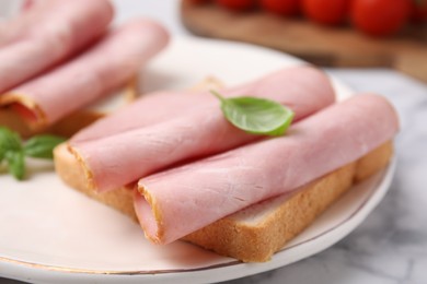 Delicious sandwiches with ham on plate, closeup