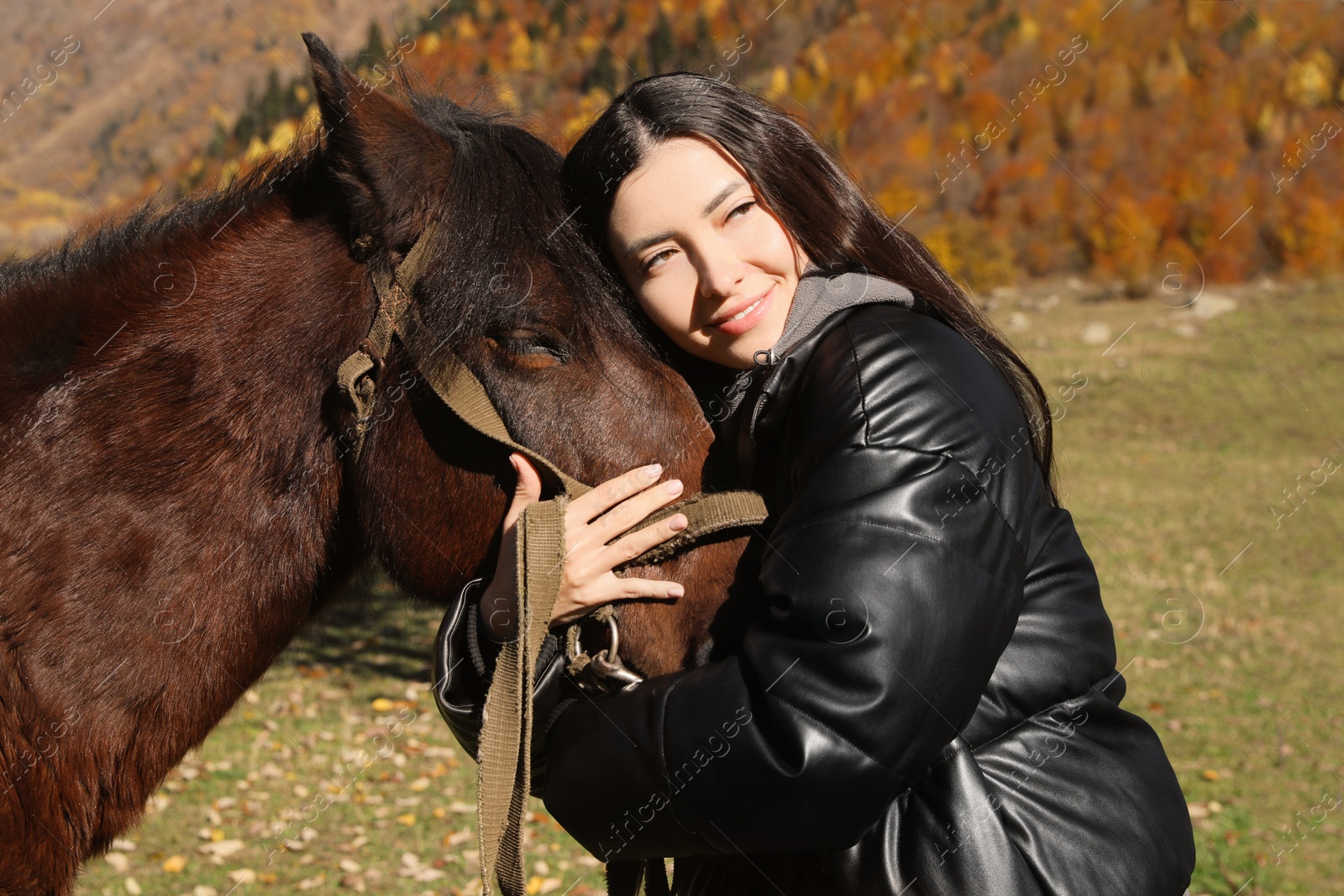 Photo of Young woman hugging horse in mountains on sunny day. Beautiful pet