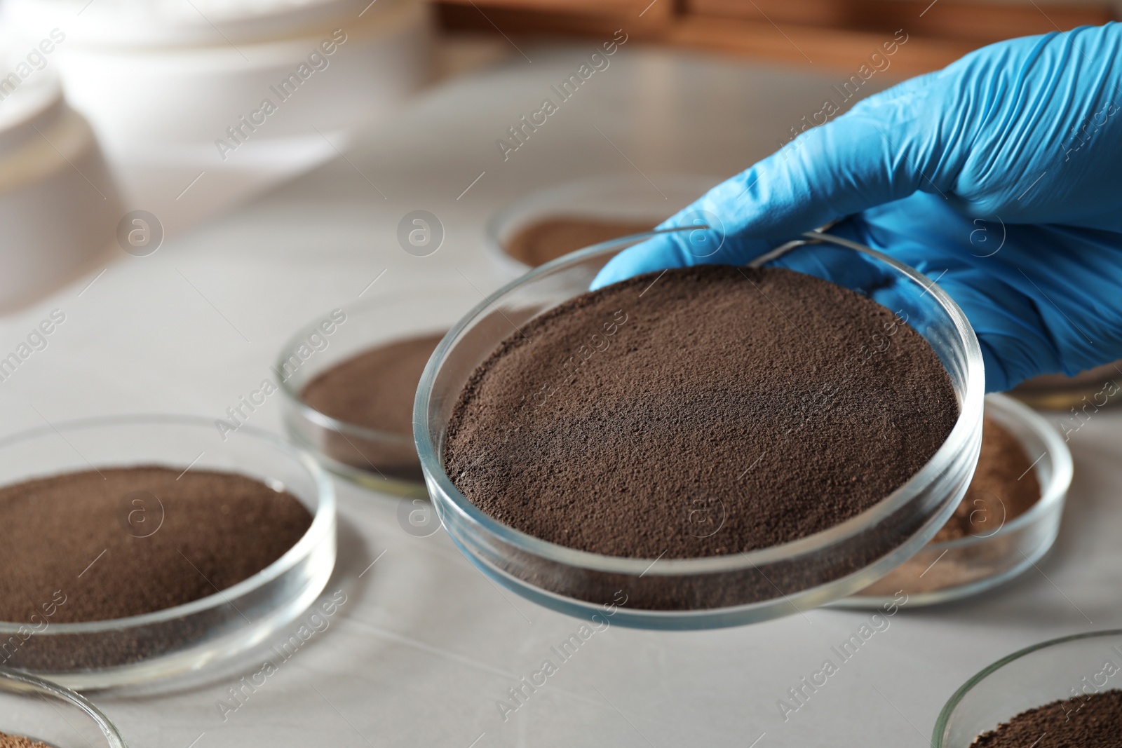 Photo of Woman holding Petri dish with soil sample over table, closeup. Laboratory research