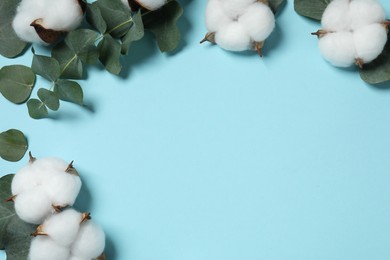 Photo of Cotton flowers and eucalyptus leaves on light blue background, flat lay. Space for text