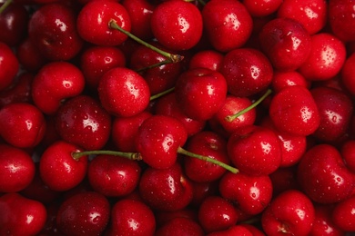 Photo of Sweet red cherries with water drops as background