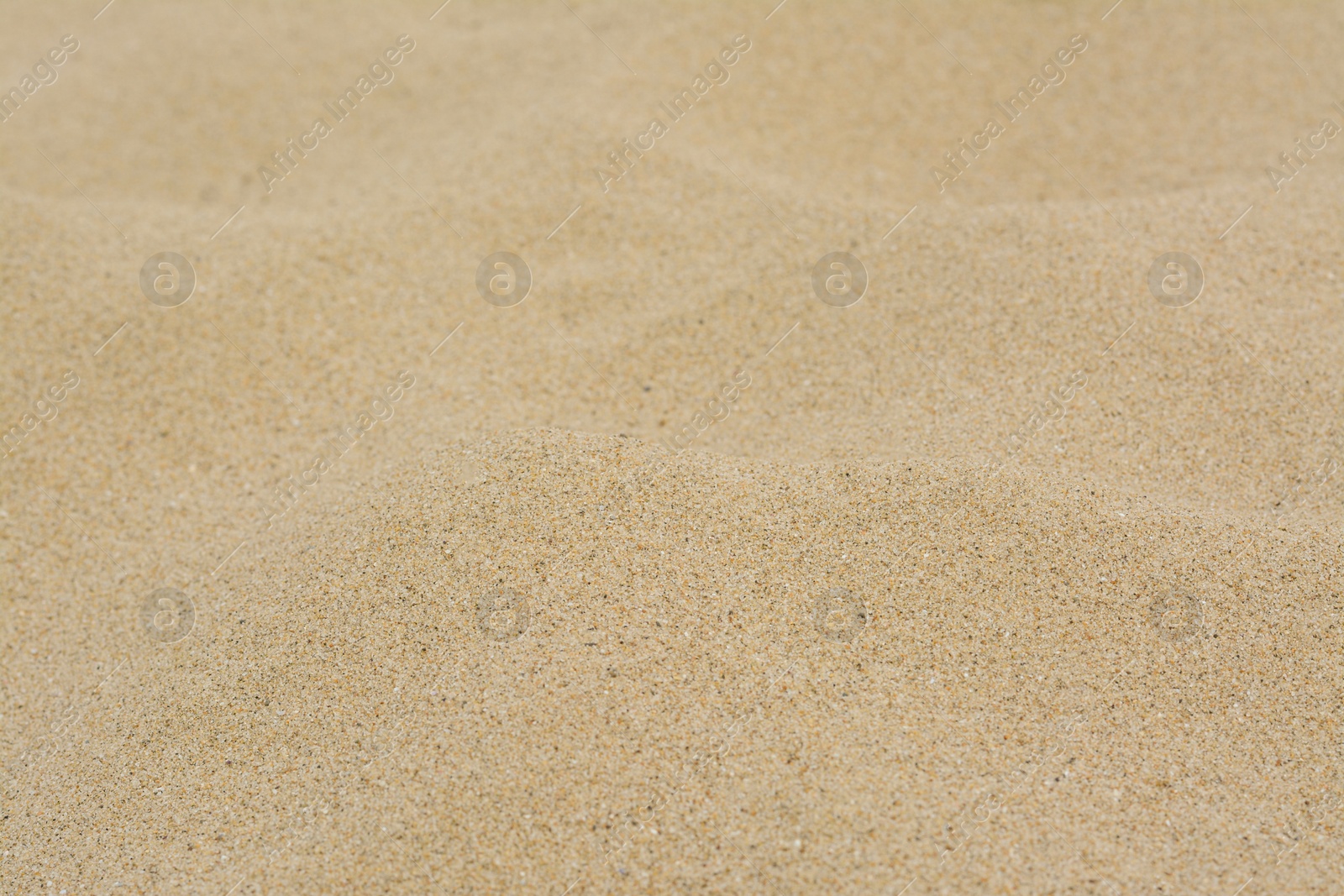 Photo of Texture of sandy beach as background, closeup