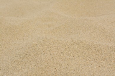 Photo of Texture of sandy beach as background, closeup