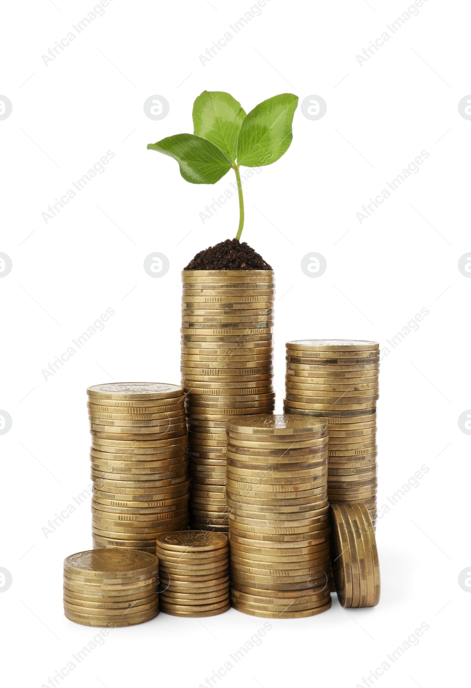 Photo of Stacks of coins and green plant on white background. Investment concept