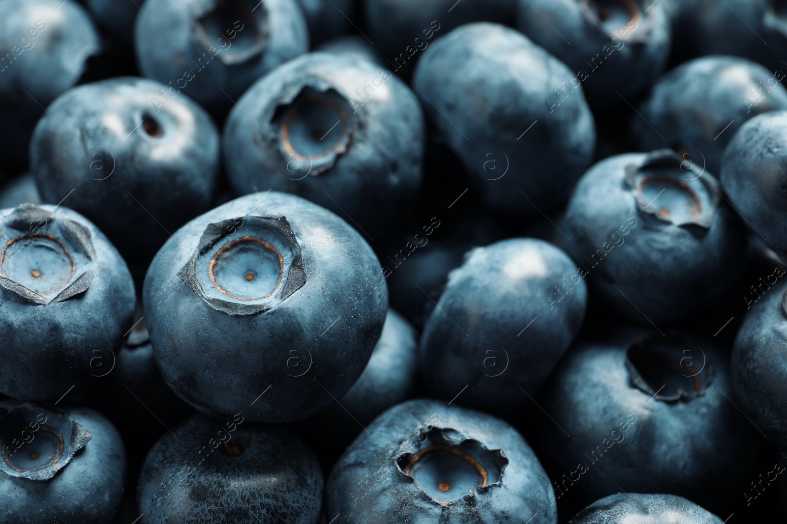 Photo of Tasty fresh blueberries as background, closeup view