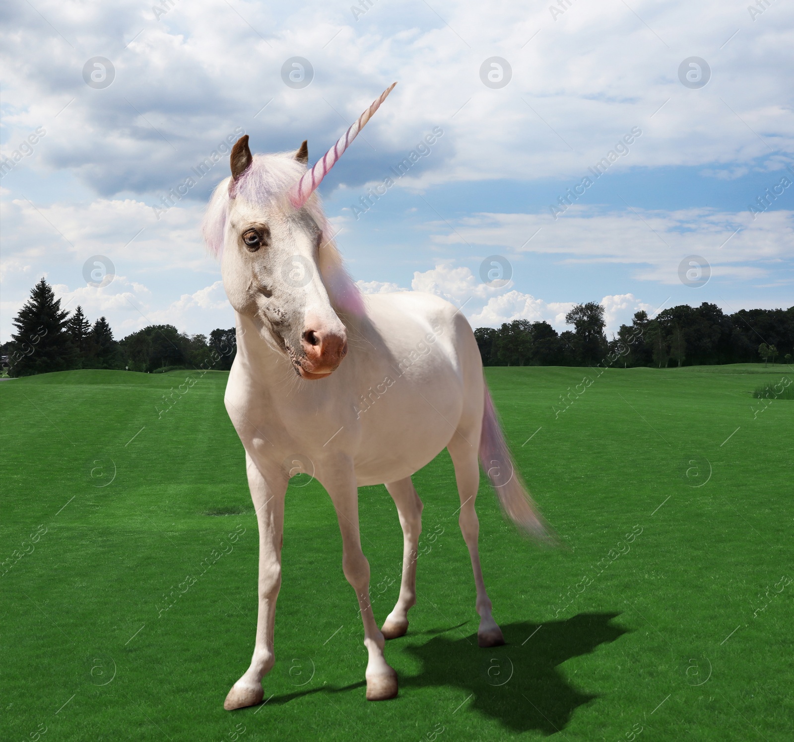 Image of Amazing unicorn with beautiful mane in field 