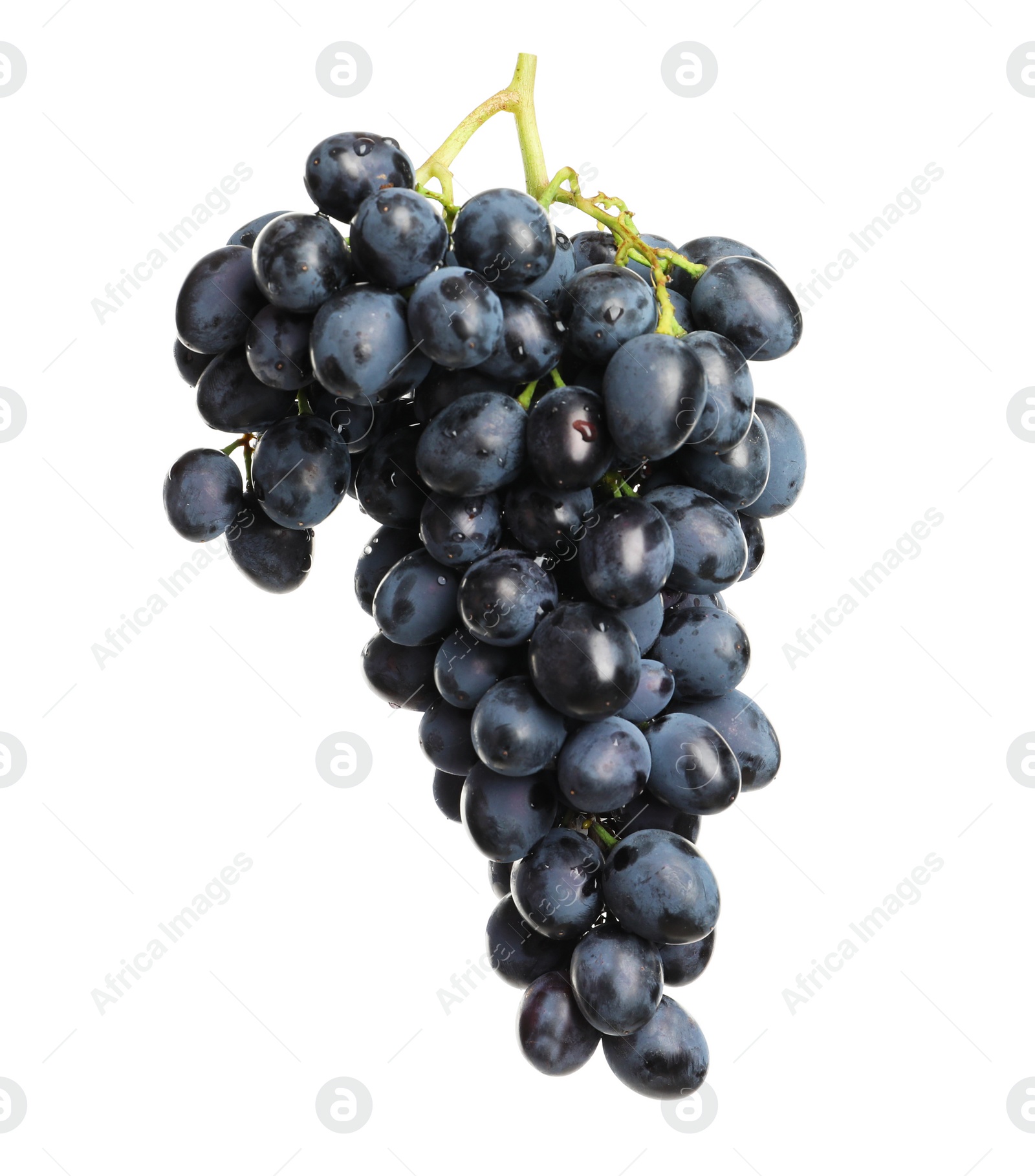 Photo of Bunch of fresh ripe juicy grapes isolated on white