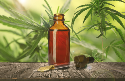 Image of Hemp oil on wooden table against plant