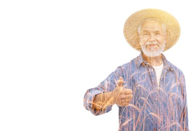 Image of Double exposure of happy farmer and wheat field on white background